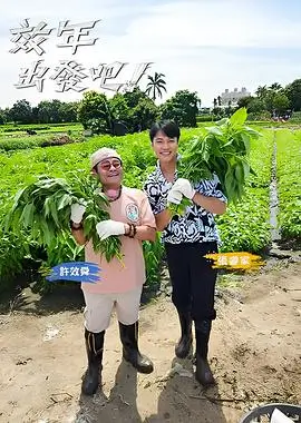 城市漫游记旅行综艺全集在线观看